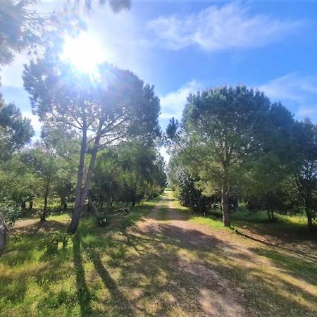 Il Lentischio Del Sinis Villa Putzu Idu Eksteriør bilde