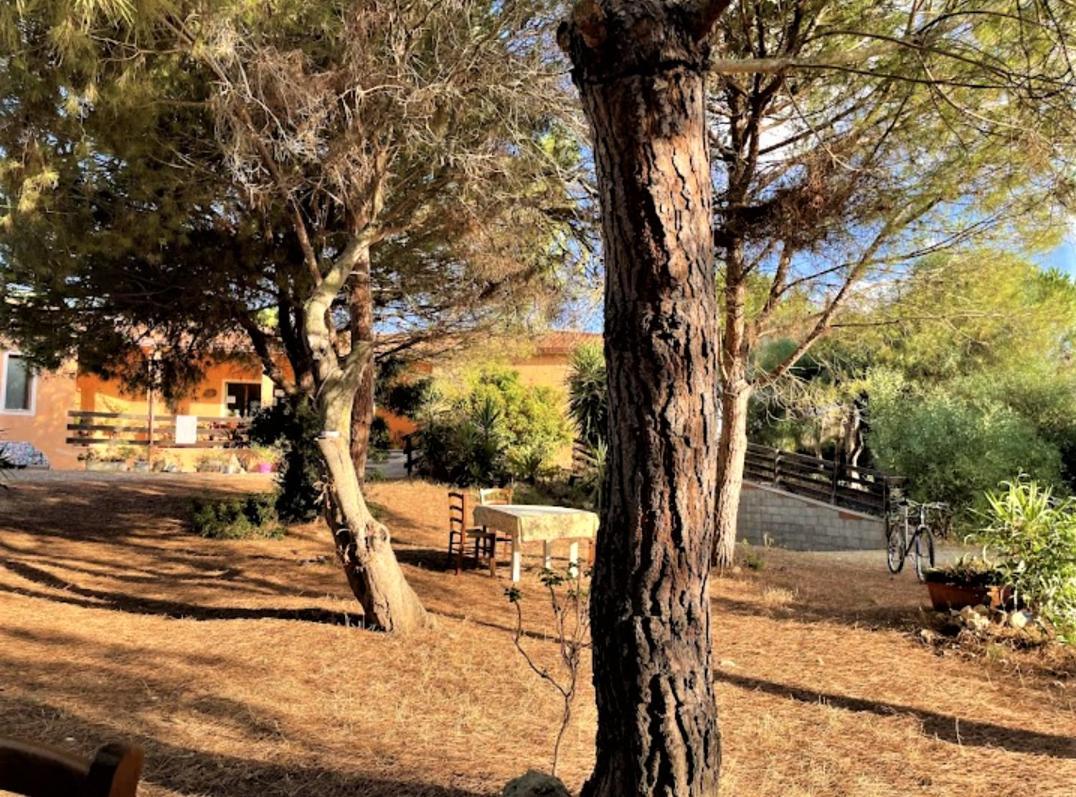 Il Lentischio Del Sinis Villa Putzu Idu Eksteriør bilde